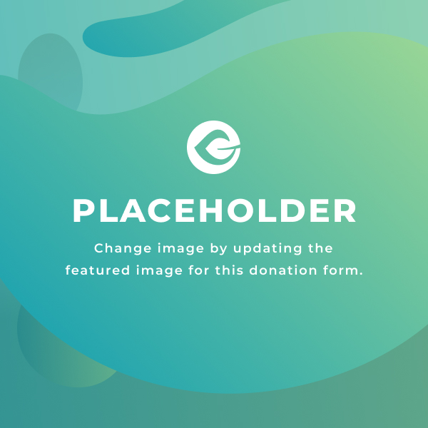 Support with legal fees