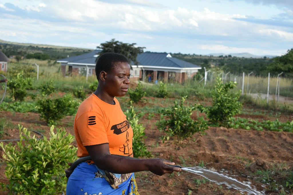 Integrated Services On Gender Based Violence II