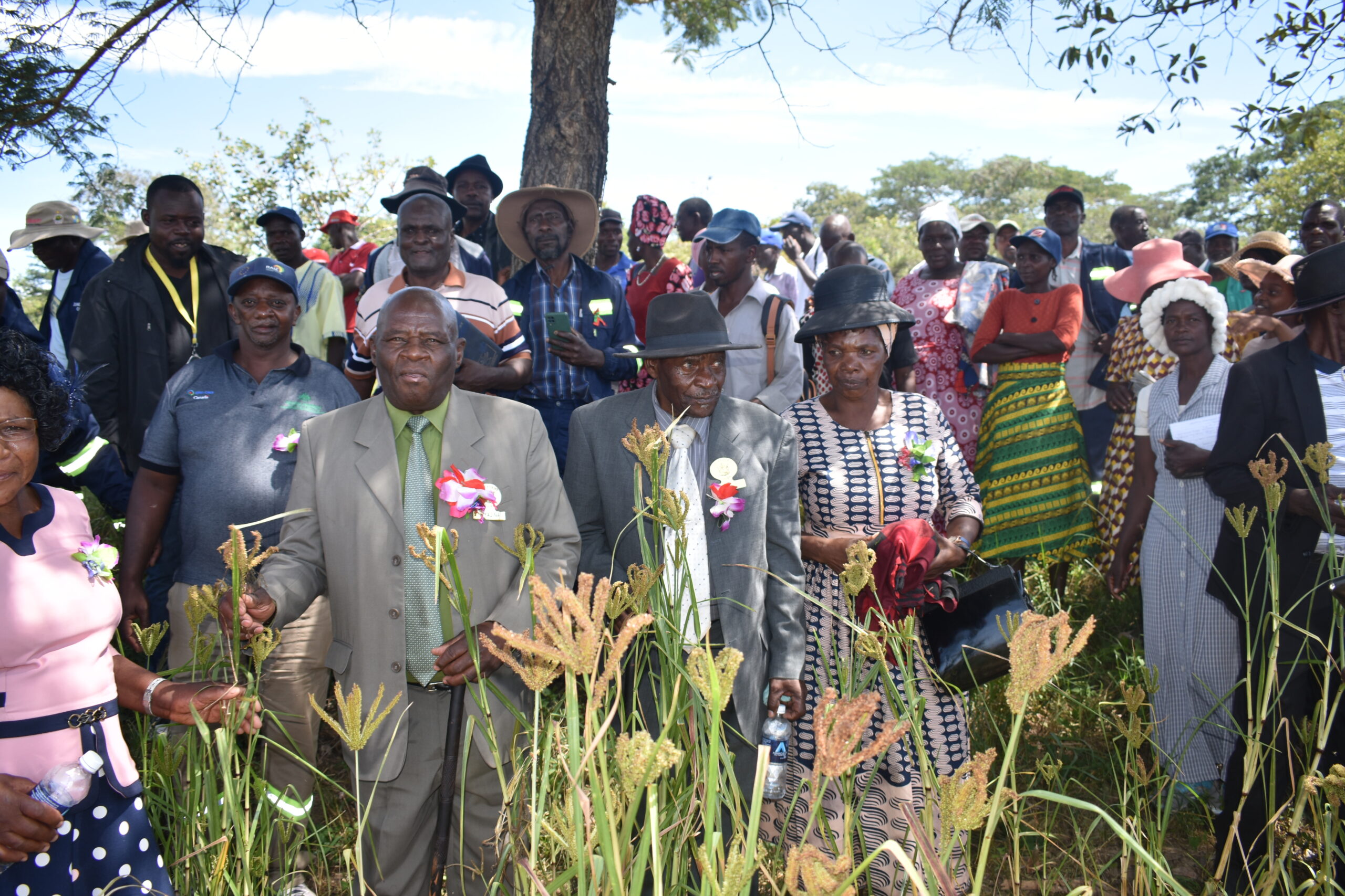 Chief Mangwende